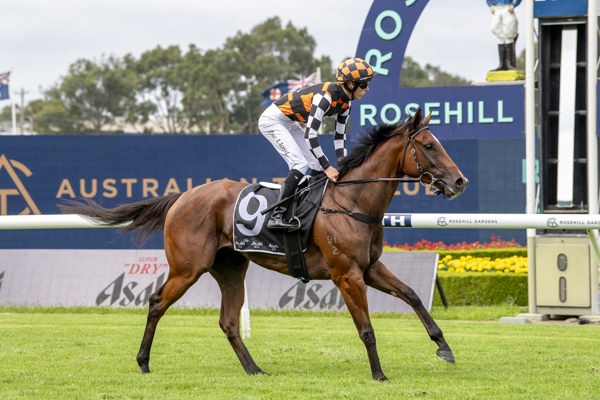 Fireball Miss returns a winner at Rosehill - image Bradley Photos