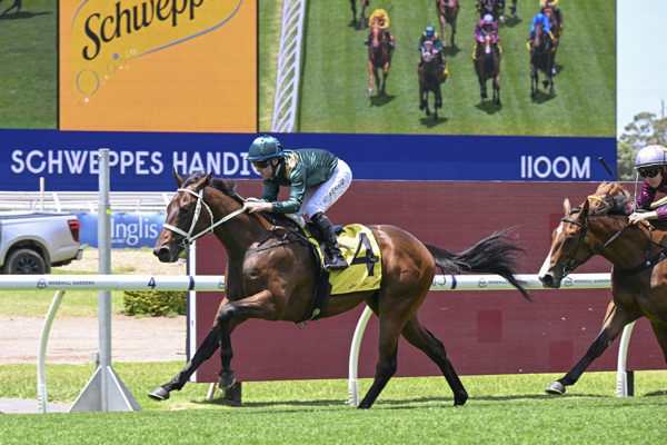 Fireball wins on debut - image Bradley Photos