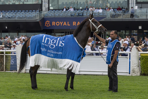 Fireball wears the Inglis Millennium rug - image Bradley Photos