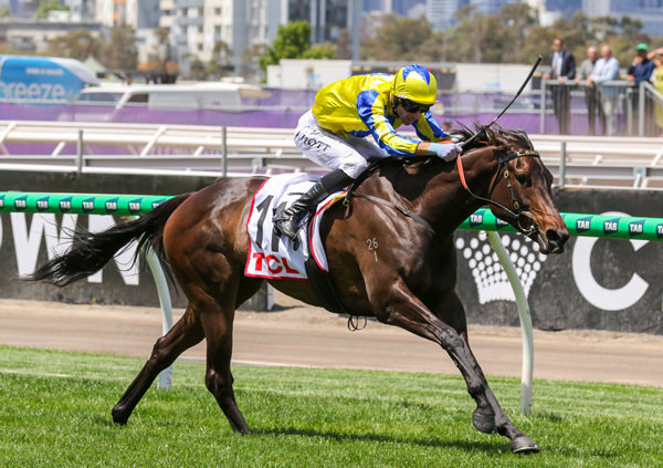 First Chorus proves too strong in the TCL Trophy (1700m) at Flemington. Photo: Bruno Cannatelli