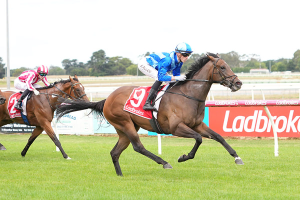 First Fifteen, One of Two I Am Invincible Winners For Ciaron Maher At Sale - Photo by Scott Barbour/Racing Photos