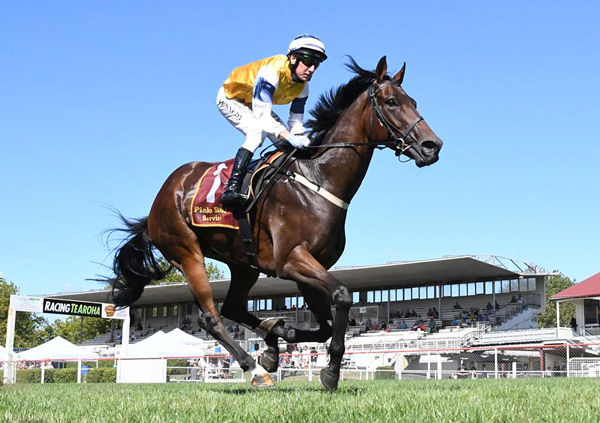 First Five will contest Saturday’s Listed Legacy Lodge Sprint (1200m) at Pukekohe. Photo: Kenton Wright (Race Images)
