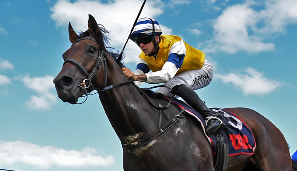 First Five winning the Gr.1 BCD Group Sprint (1400m) at Te Rapa on Saturday.  Photo: Kenton Wright (Race Images)