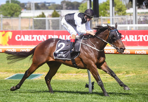 First Immortal will try to gain a start in the Caulfield Cup - image Reg Ryan / Racing Photos  