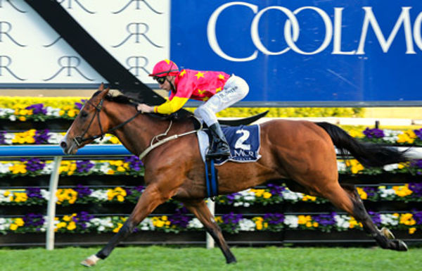 First Seal has made her mark as a broodmare producing the $1.8 million Inglis Easter sale-topper 