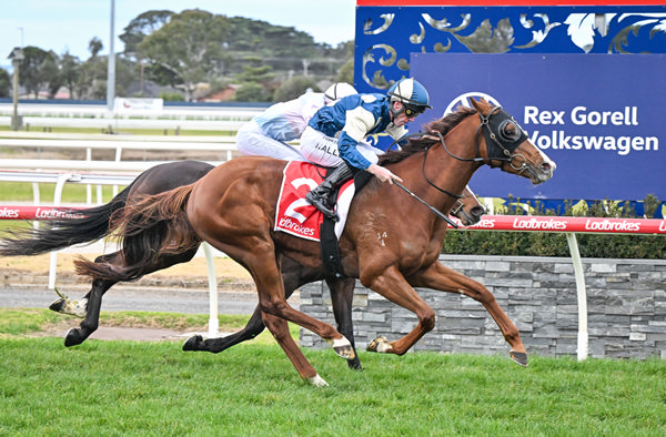 Flamboyant Lad wins at Geelong - image Reg Ryan / Racing Photos 