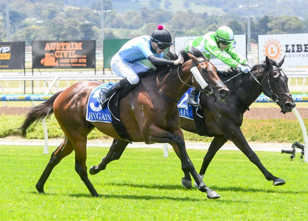 Flash Feeling (black cap) gets the better of Matron Bullwinkel to win the opening event at Pakenham Photo: Brett Holburt / Racing Photos