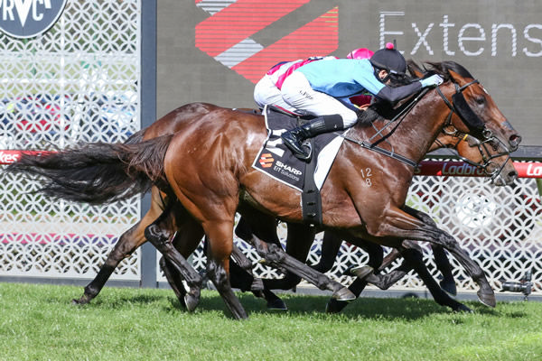 Flash Feeling prevails in a blanket finish to win at The Valley. Photo: Bruno Cannatelli