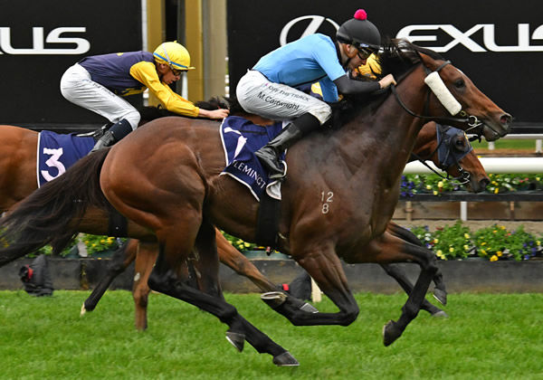 Flash Feeling dashes to victory at Flemington Photo Credit: Quentin Lang
