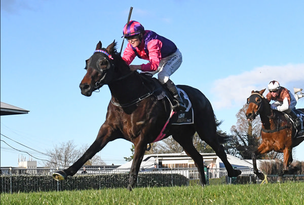 Flower Of Wanaka will prepare for a potential Group One test in the Wenham Grain & Seed Open (1340m) at Wanganui. Photo: Peter Rubery (Race Images Palmerston North)