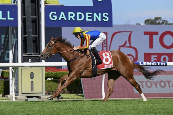 Flying for Fun wins the Listed Starlight Stakes - image Bradley Photos