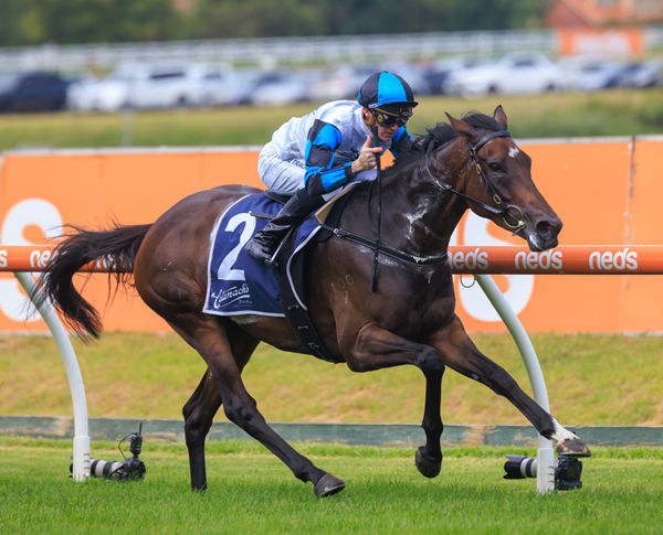 Flying Mascot wins at Caulfield - image Grant Courtney