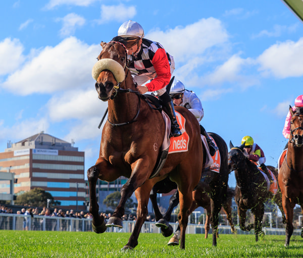 Flying on a Limb makes it three wins in a row at Caulfield - image Grant Courtney 