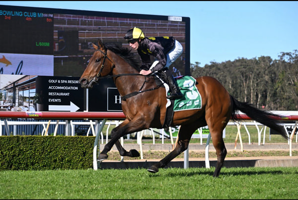 Flying Orchid goes two for two at Wyong - image Bradley Photography