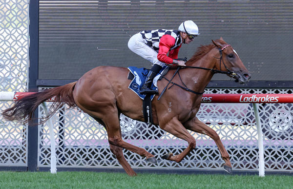 Flying Temptress wins impressively at Moonee Valley - image George Salpigtidis/ Racing Photos