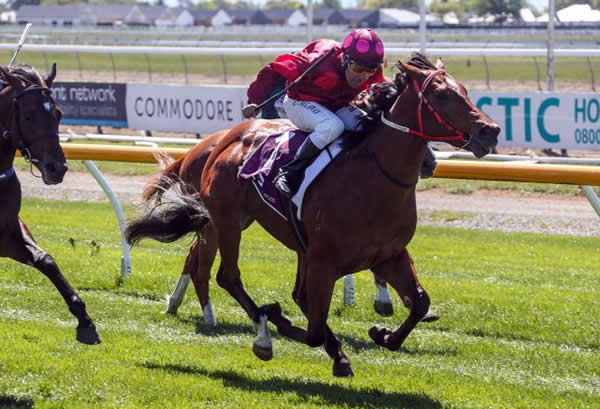Follow Your Dreams will contest the $1m Doubletree by Hilton Karaka Million 2YO (1200m) at Ellerslie on Saturday. Photo: Race Images South
