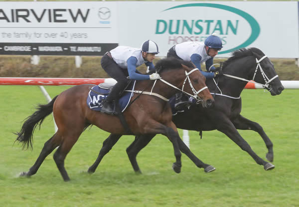 NZB Ready To Run Sale graduate Footlights (inside) will contest the Listed Super Impose Stakes (1800m) at Flemington on Saturday. Photo: Trish Dunell