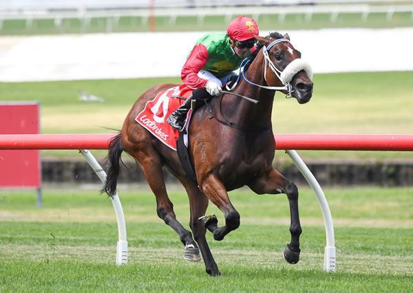 Forbidden city won by daylight at Sandown - image Pat Scala/ Racing Photos