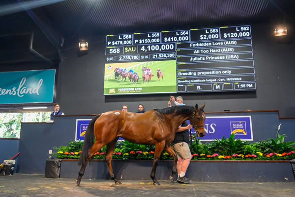 Forbidden Love topped the session at $4.1 million - image MM