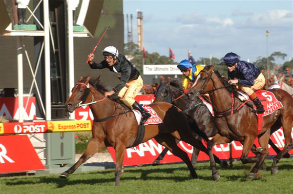 Forensics won the 2007 Golden Slipper for the Inghams - image Steve Hart