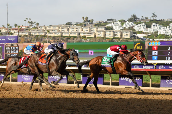 Forever Young wins the G1 Breeders Cup Classic. Photo: Breeders Cup.
