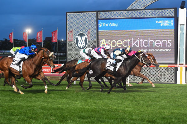 Savabeel colt Forgot You wins the G2 Stutt Stakes - image Racing Photos.