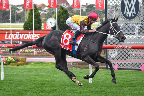 Foxy Cleopatra showed a touch of class to win at Moonee Valley last night - image Reg Ryan/ Racing Photos