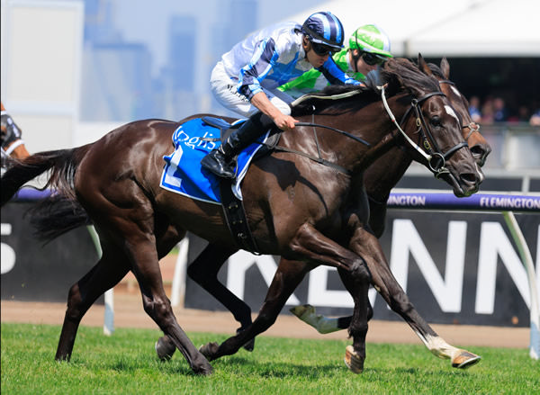 Foxy Frida wins her second Inglis Bracelet - image Grant Courtney