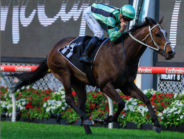 Francesco Guardi wins the G2 Moonee Valley Cup -  - image Grant Courtney