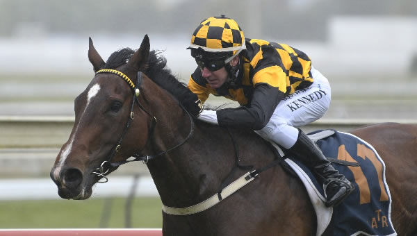 Frostfair winning the 1500 Championship Qualifier Rating 75 (1400m) at Pukekohe on Saturday.   Photo: Kenton Wright (Race Images)