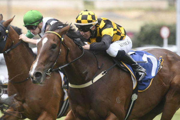 Frostfair winning at Ellerslie on Wednesday.  Photo: Kenton Wright (Race Images)