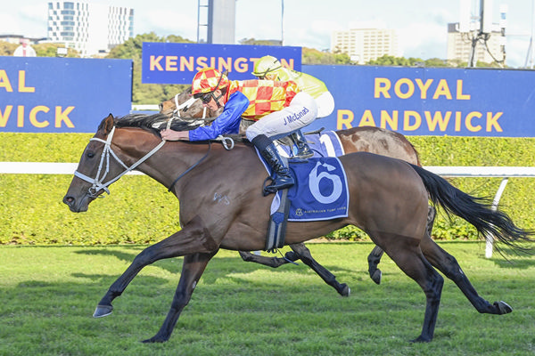 Consecutive Wins For 3YO Super Seth Filly Frosty Girl (NZ) - Image Bradley Photos