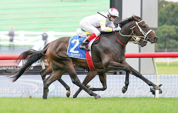 Fuller salutes at Sandown - image Scott Barbour