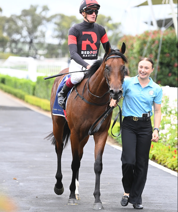 Fully Lit returns to a rapturous welcome from his Red Fox Racing owners - image Steve Hart 