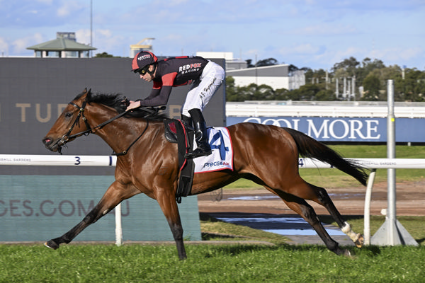 Fully Lit bolts in at Rosehill - image Bradley Photography
