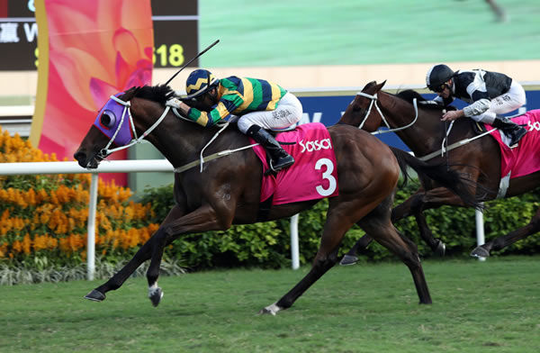 Fuore strikes winning form in the G3 Sa Sa Ladies Purse - image HKJC