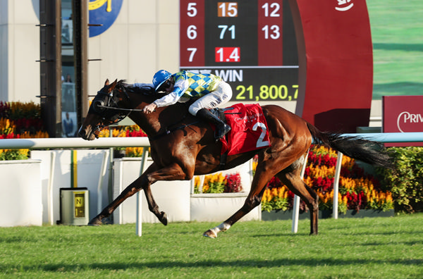 Galaxy Patch wins at Sha Tin on Sunday - image HKJC