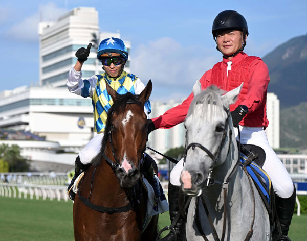 Vincent Ho believes Galaxy Patch has what it takes to become the best miler in HK - image HKJC