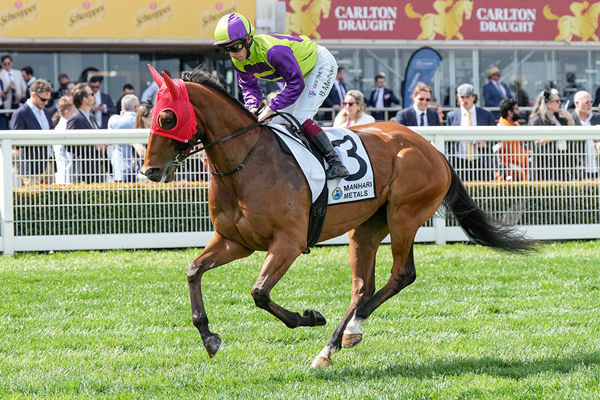 Winner of the $1m G1 SAJC Robert Sangster Stakes - Geegees Mistruth is the first elite level winner for her sire Wordsmith - Image George Sal/Racing Photos