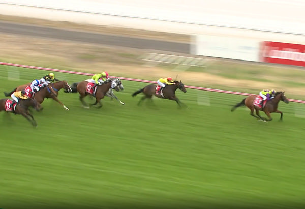 Geegees Mistruth winning the Vamos Stakes