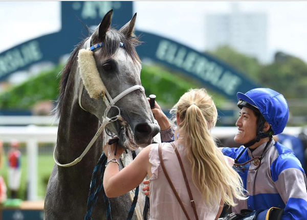 Trans-Tasman targets could be on the cards for Gentian Blue.  Photo: Kenton Wright (Race Images