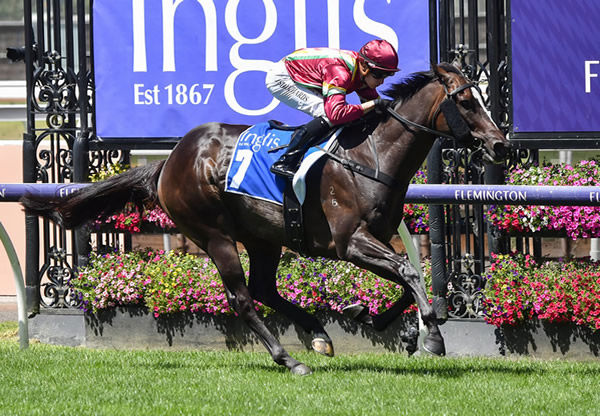 Gentleman Roy wins at Flemington - image Racing Photos