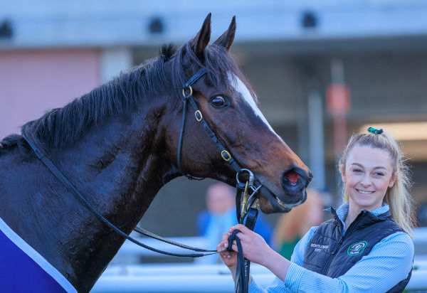 Gentleman Roy - what a gentleman! - image Grant Courtney 