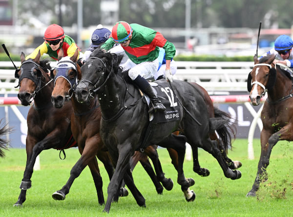 Geriatrix makes an immediate impression since arriving in Australia, winning at Eagle Farm. Photo: Grant Peters, Trackside Photography