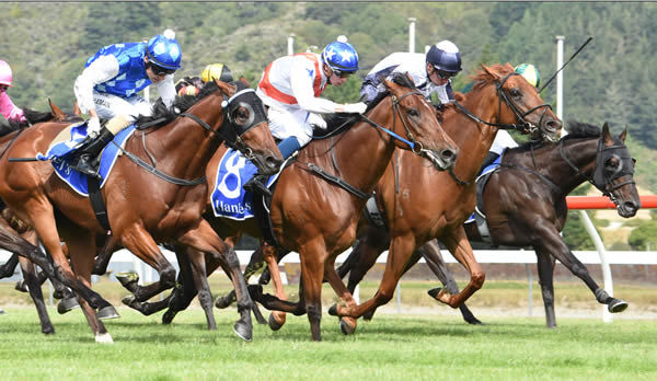Germanicus (middle) stretches gamely to take the win - Race Images