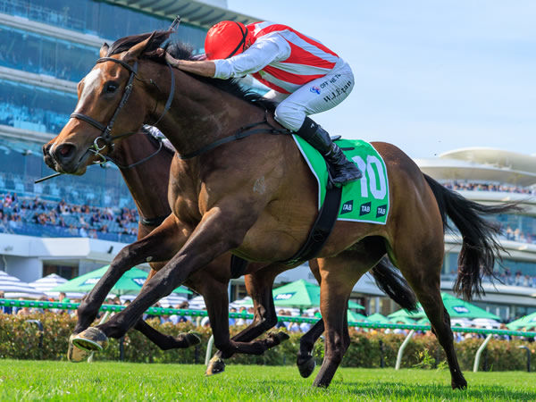Getta Good Feeling wins the G2 Edward Manifold  - image Grant Courtney
