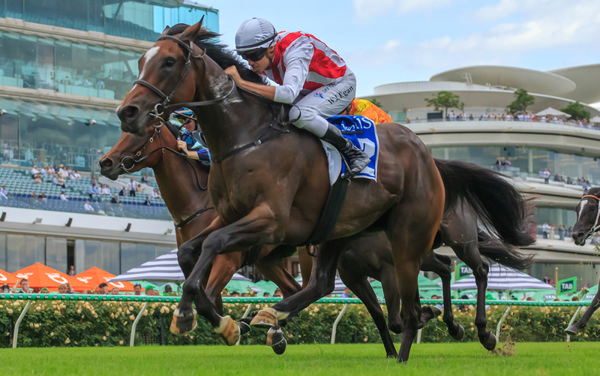 Getta Good Feeling wins the $1million Inglis Sprint - image Grant Courtney