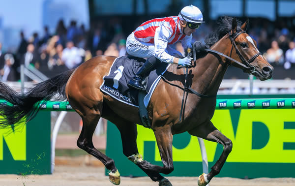 Getta Good Feeling wins the G2 Wakeful - image Grant Courtney