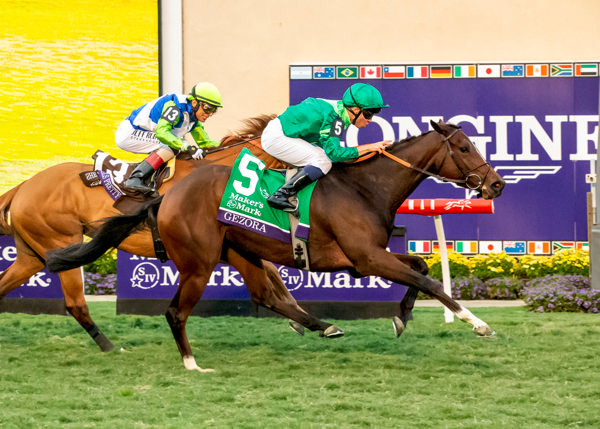 Gezora was a superstar in Europe last year for the Francis Henri Graffard stable - image Cambridge Stud