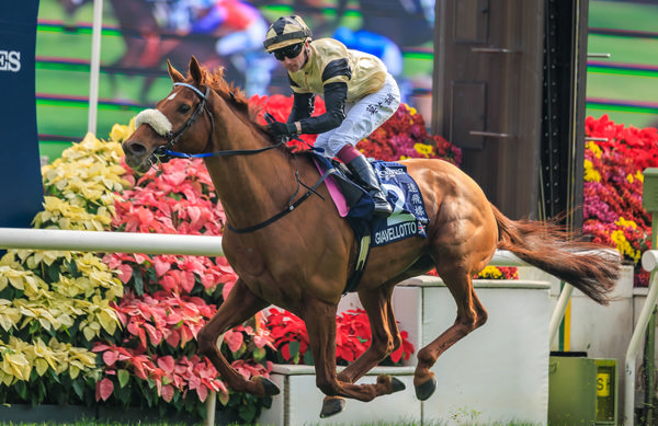 iavellotto wins the Hong Kong Vase. Photo Grant Courtney